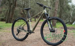 Polygon Syncline C5 2023  XL Vert Pailleté