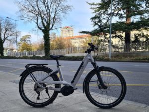 Cresta eViva NEO+  25 km/h 46 cm Gris cendre brillant