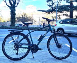 Bixs Campus 3 2024  XL Green Forest