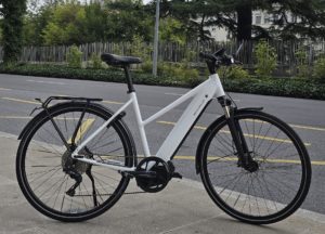 Riese & Müller Roadster (démo)  45 km/h 45 cm Blanc