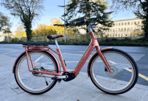 EGO Movement Curie 2025 25 km/h L Bronze Metallic