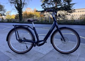 EGO Movement Curie – Bleu Raw Denim – Taille S (Cadre Unisex)